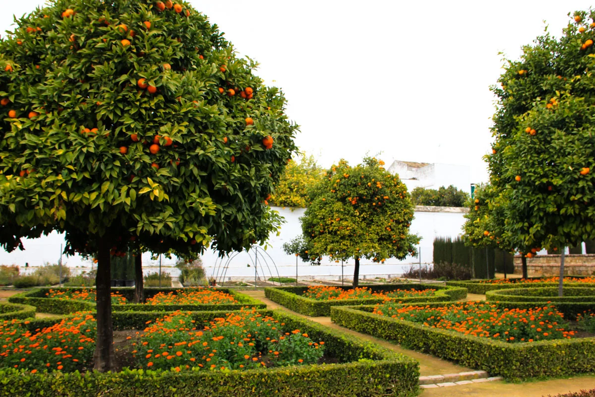 Cordoba-63.JPG