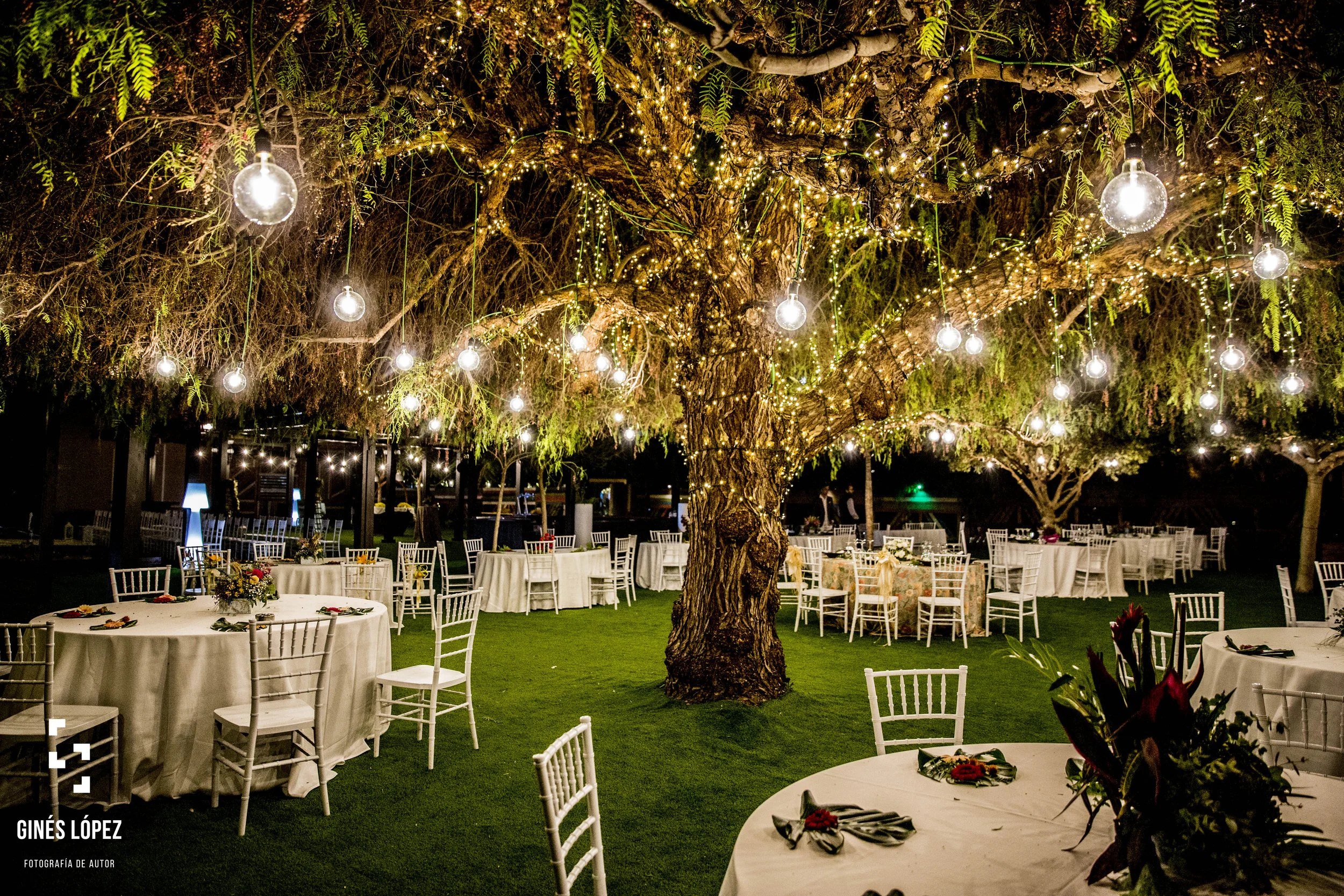 Inaguracion Salon Mosaico 2 O Disenado Para Bodas Al Aire Libre Y Ceremonias Civiles Lago Celebraciones