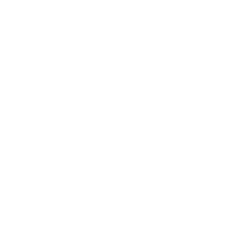 TIZEN