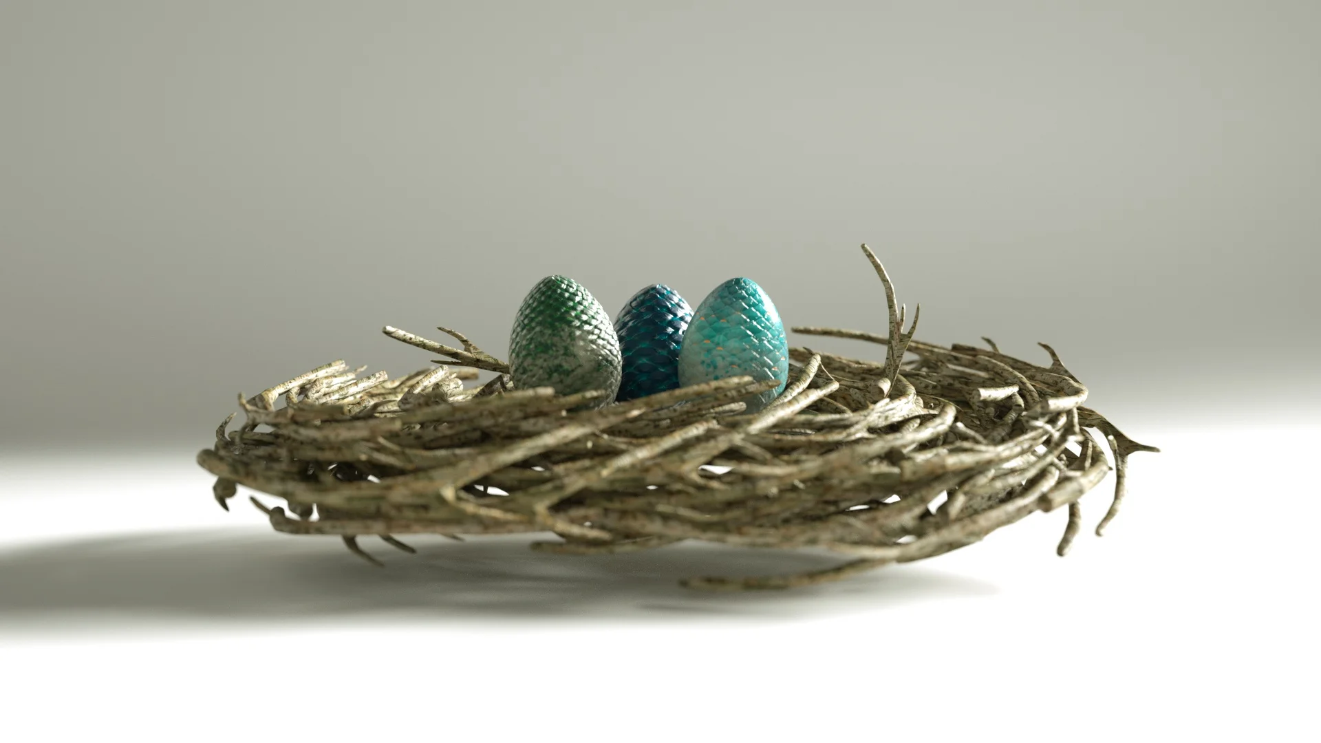nest.jpg
