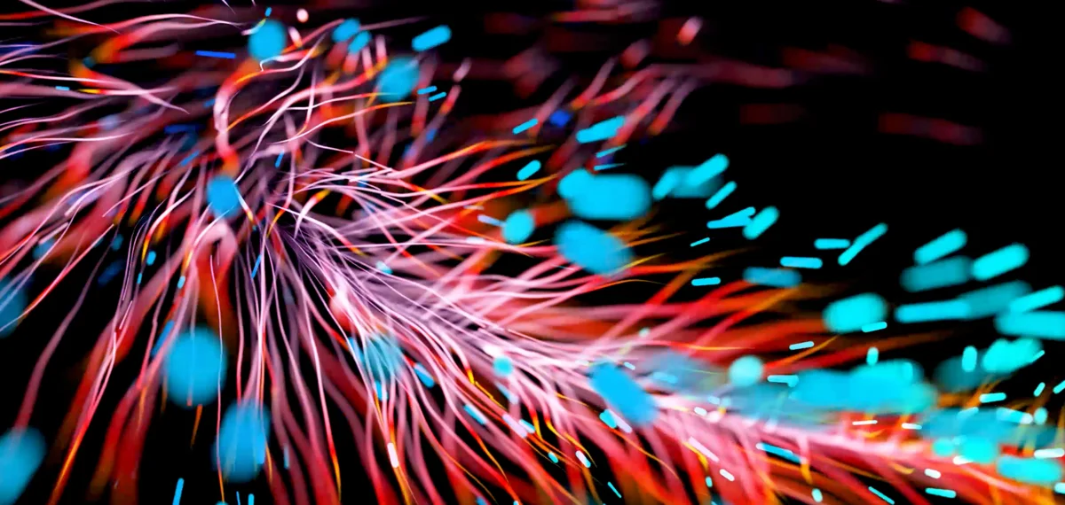 videostill.jpg