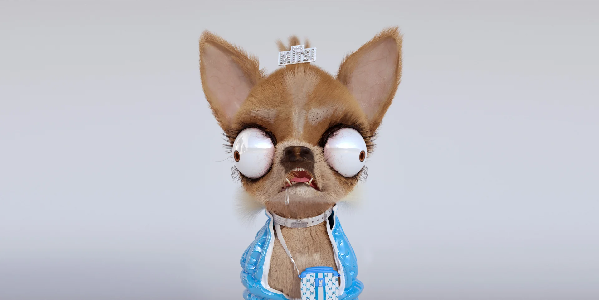 chihuahua.jpg