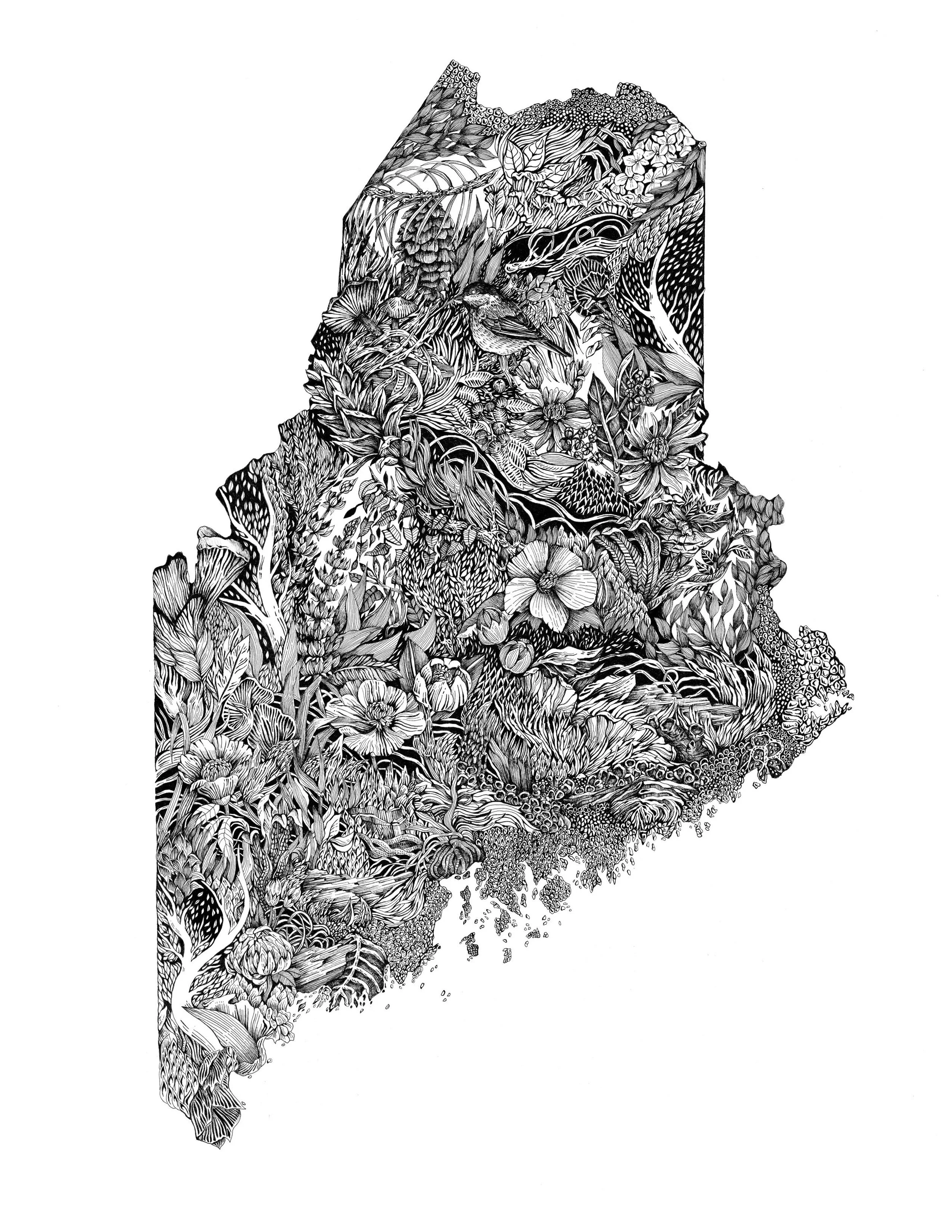 maine 8.5 x 11.jpg