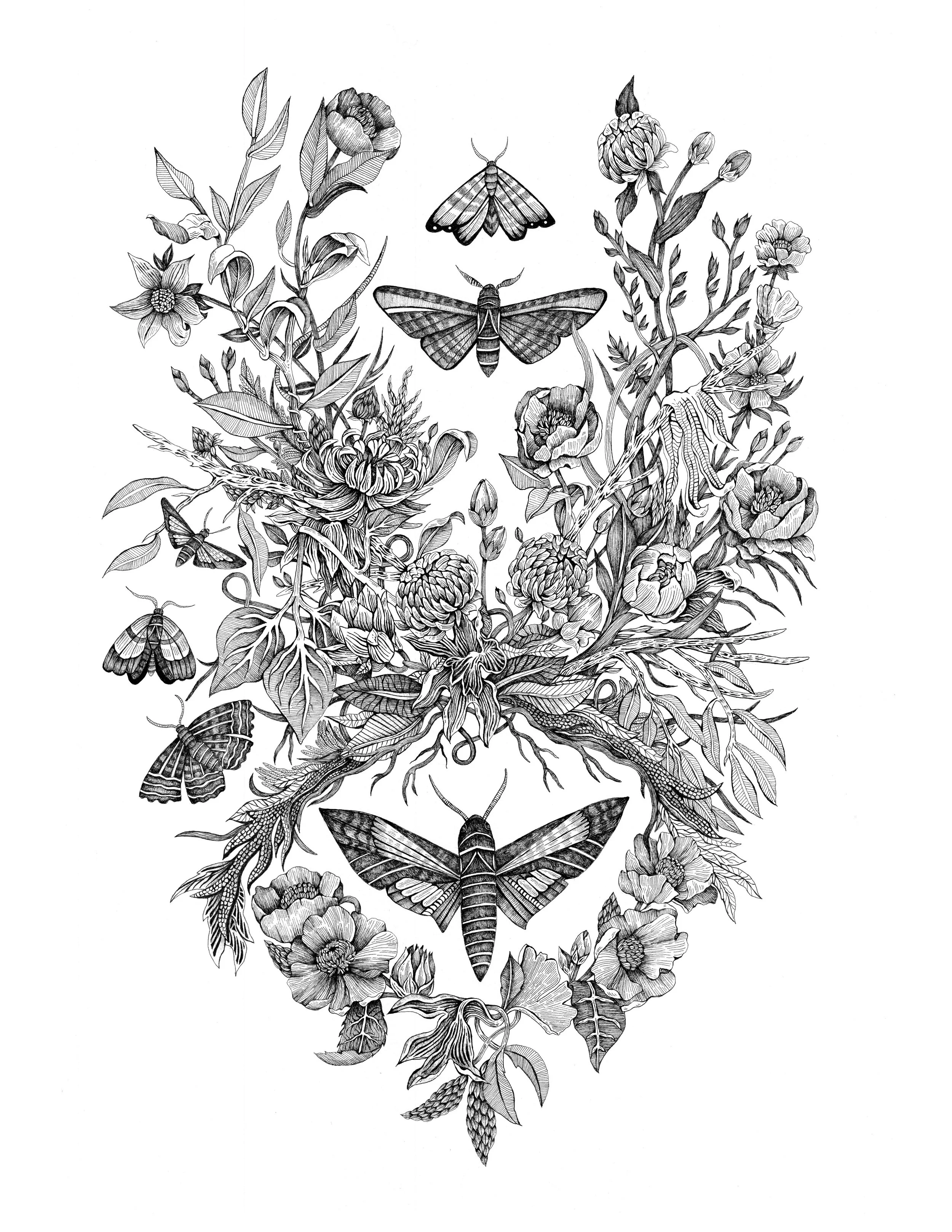 moths 8.5 x 11.jpg