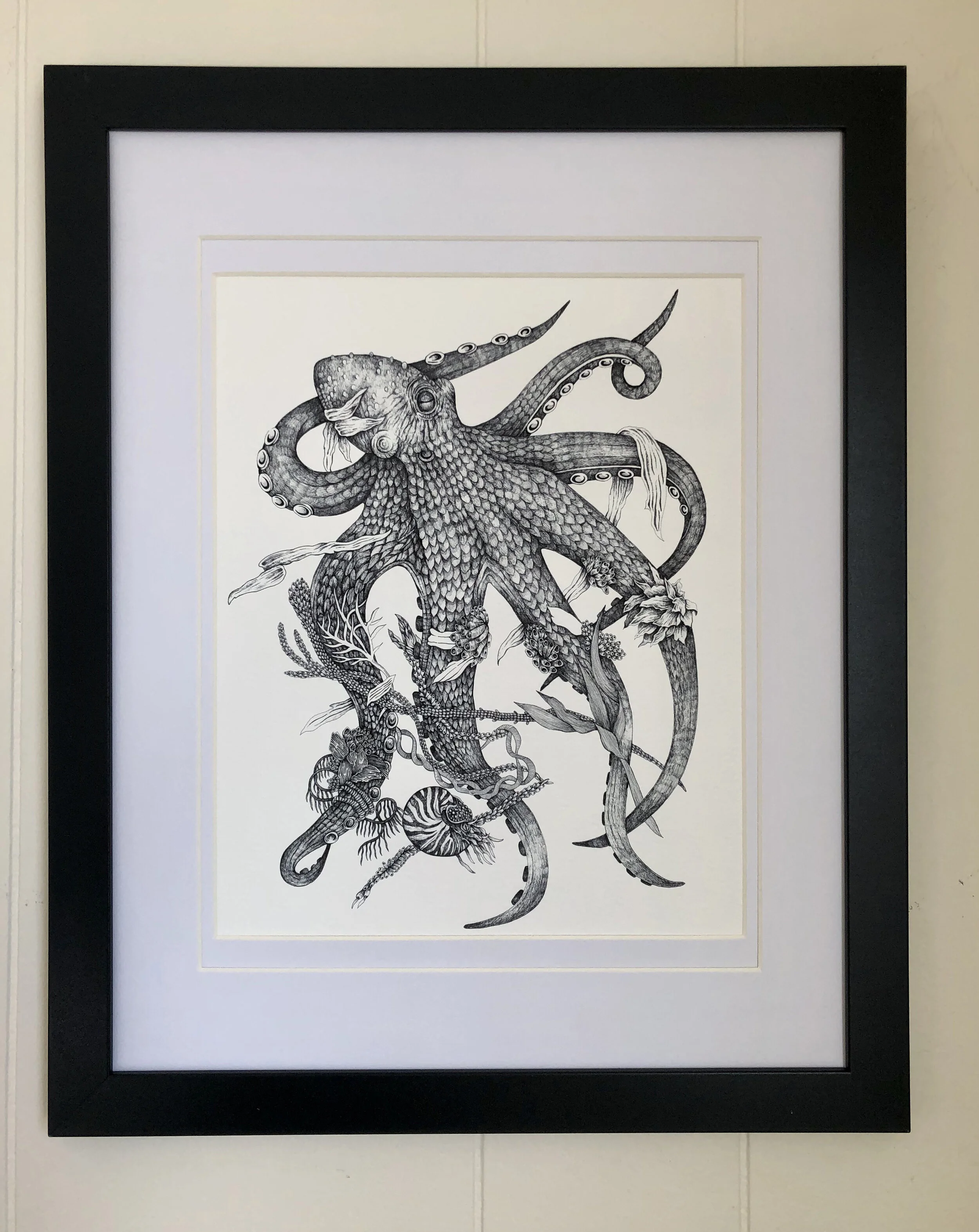 octopus black frame.jpg