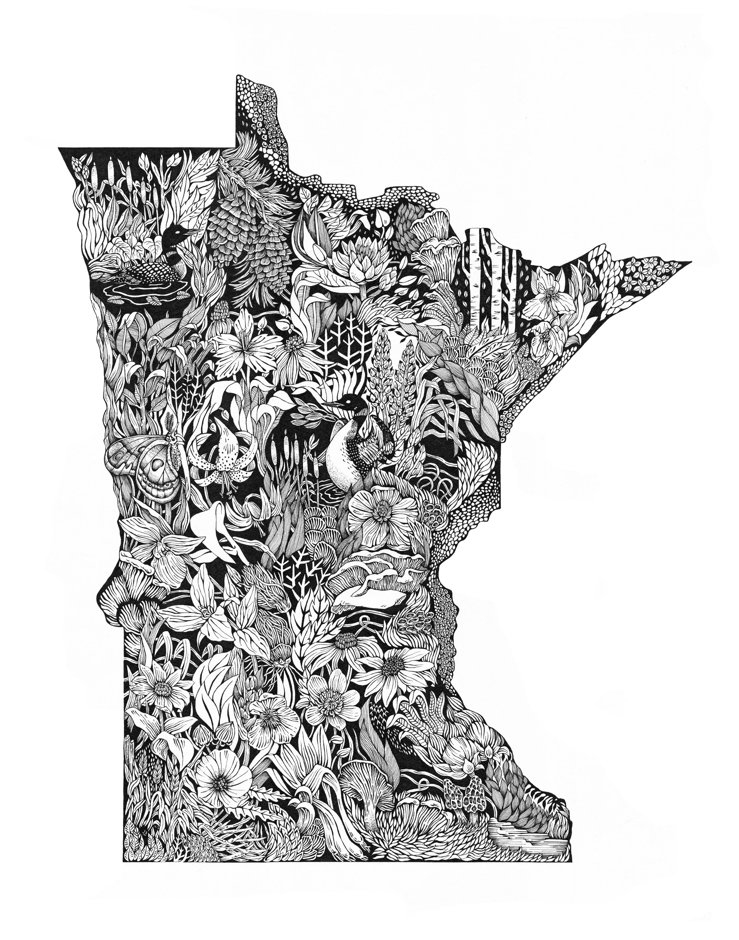 minnesota for site.jpg