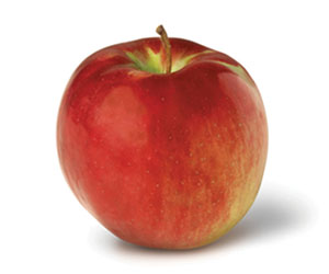 Cortland Sweet, slight tartness, tender, white flesh & juicy Harvest: Mid September - Early October