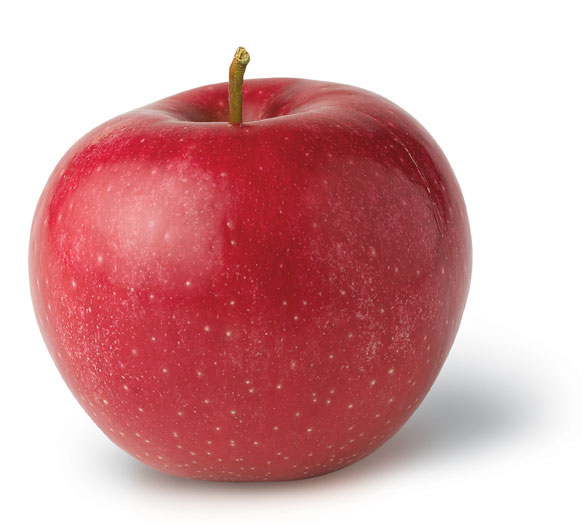 Rome Mildly tart, & firm, greenish-white flesh Harvest: Mid October