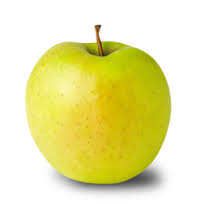 Early Gold Sweet but mildly tart, fine textured & crisp, cream flesh Harvest: Mid August