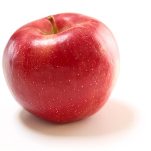 Ruby Mac Tart, sweet & juicy Harvest: Mid September