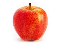 Brookfield Gala Sweet, fine textured & aromatic Harvest: Early- Mid September