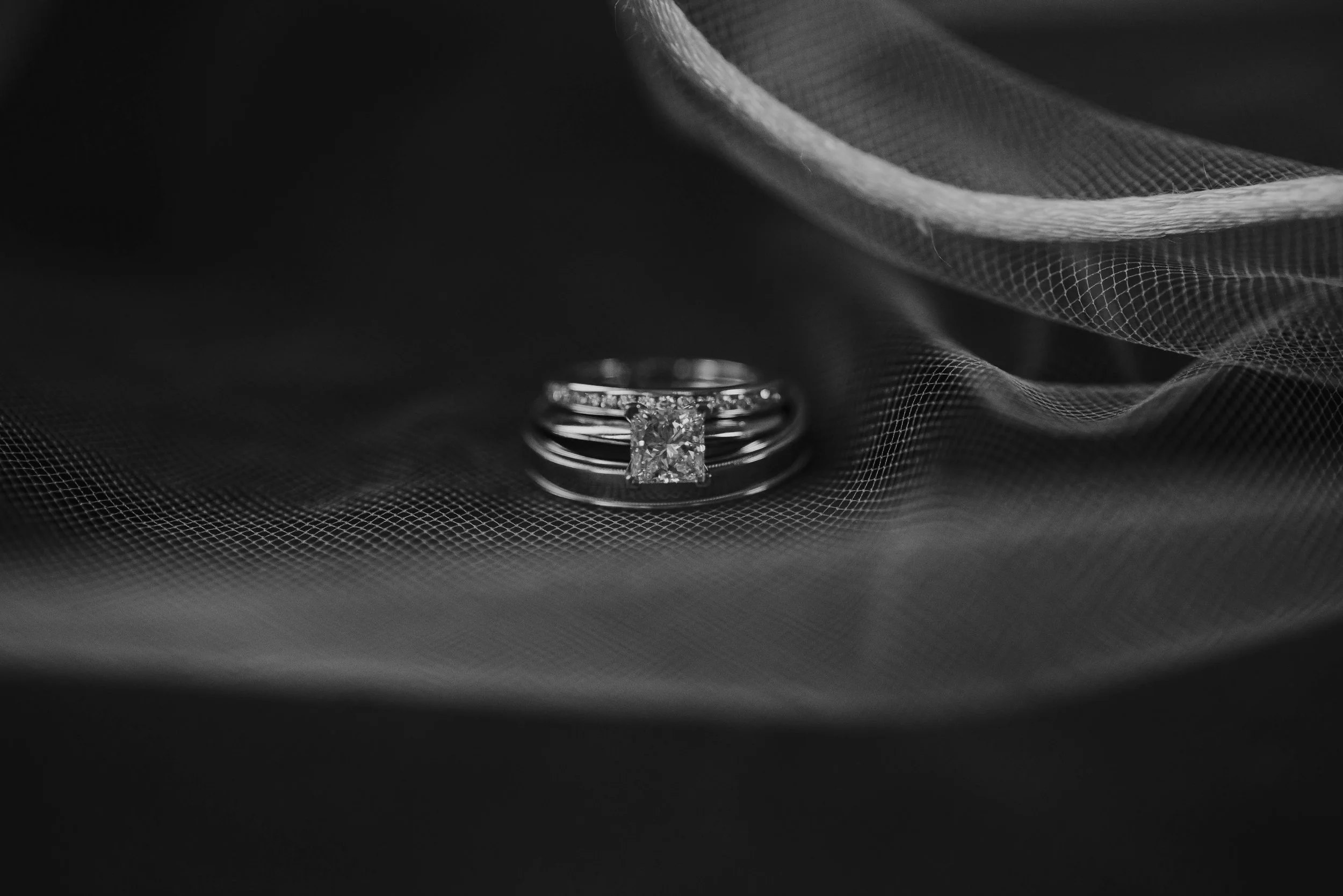 DSC_8026-2.jpg