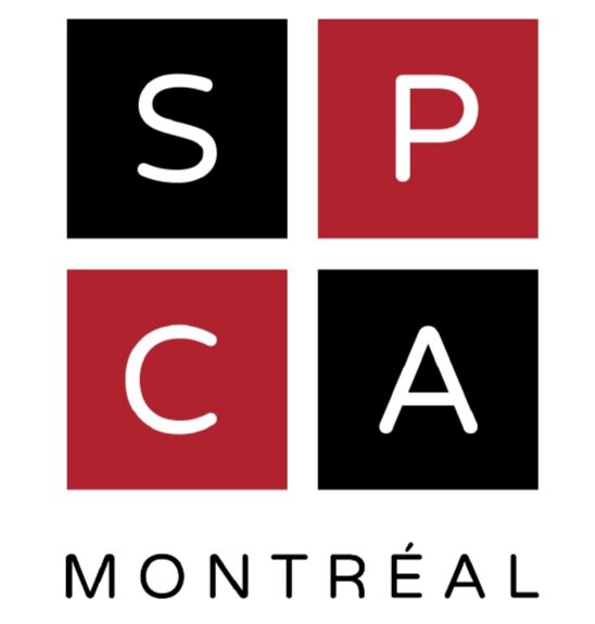 SPCA+LOGO.jpg
