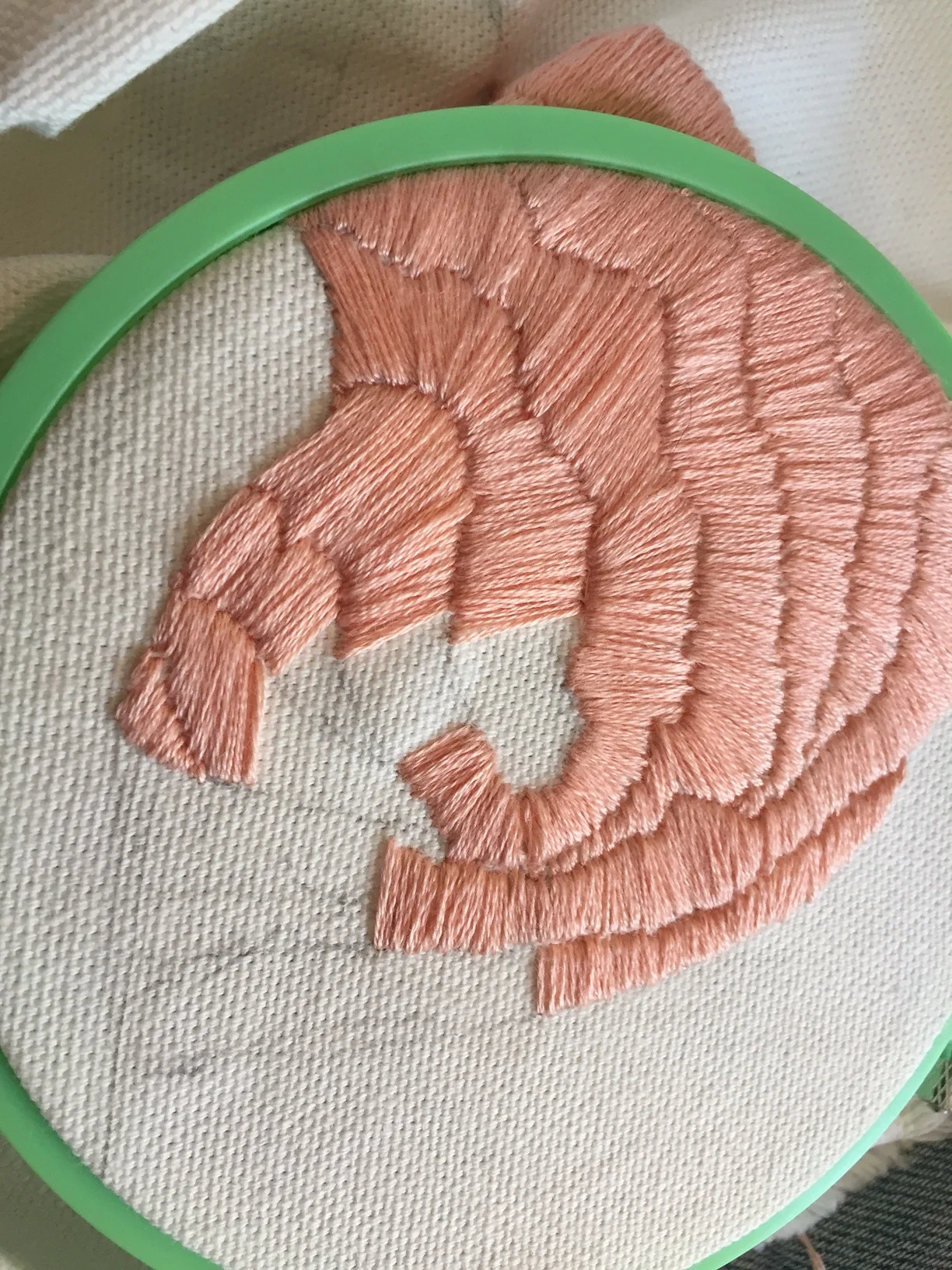 SATIN STITCH ON CANVAS