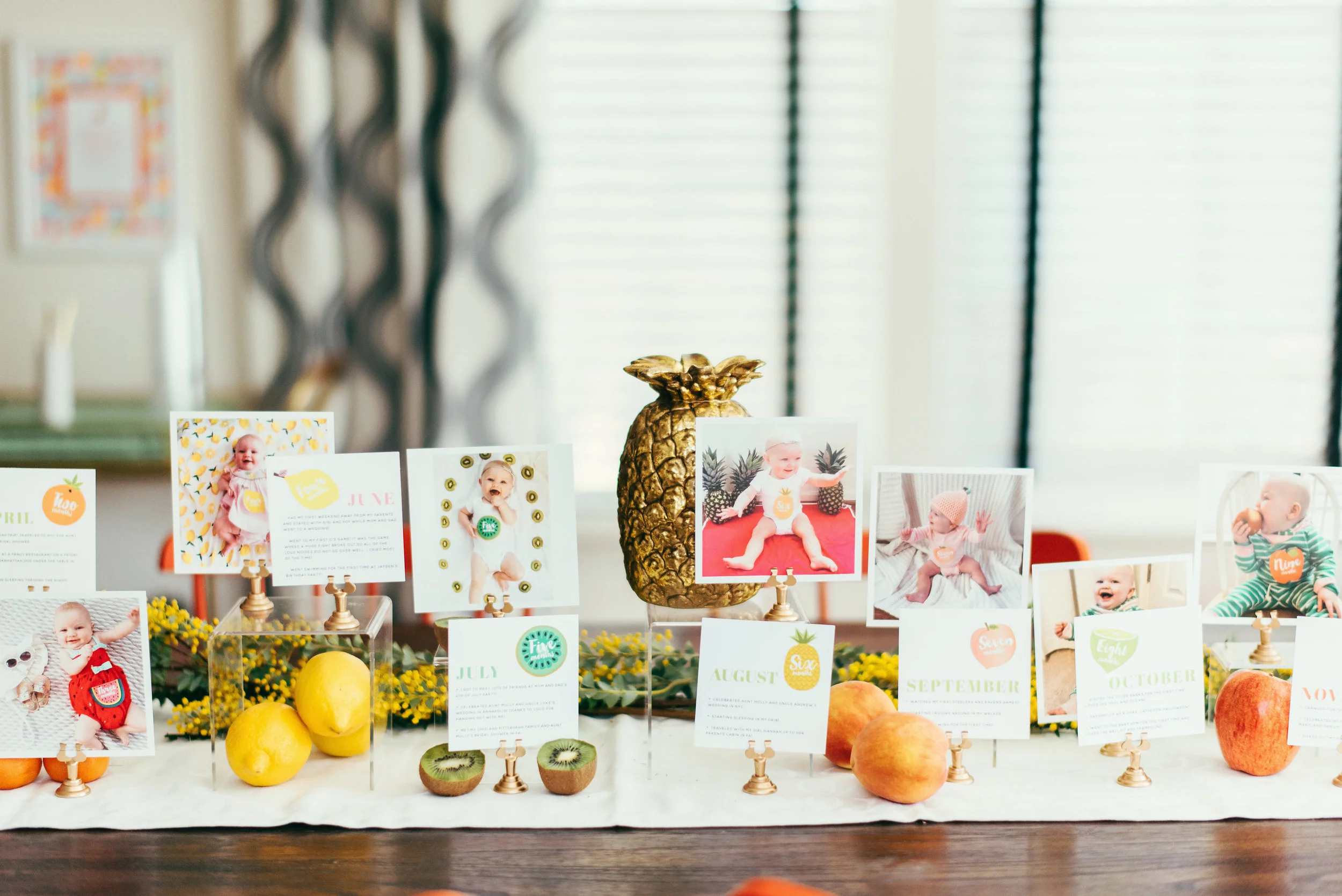 Charlottesfirstbirthday_AnnaReynalPhotography-11.jpg