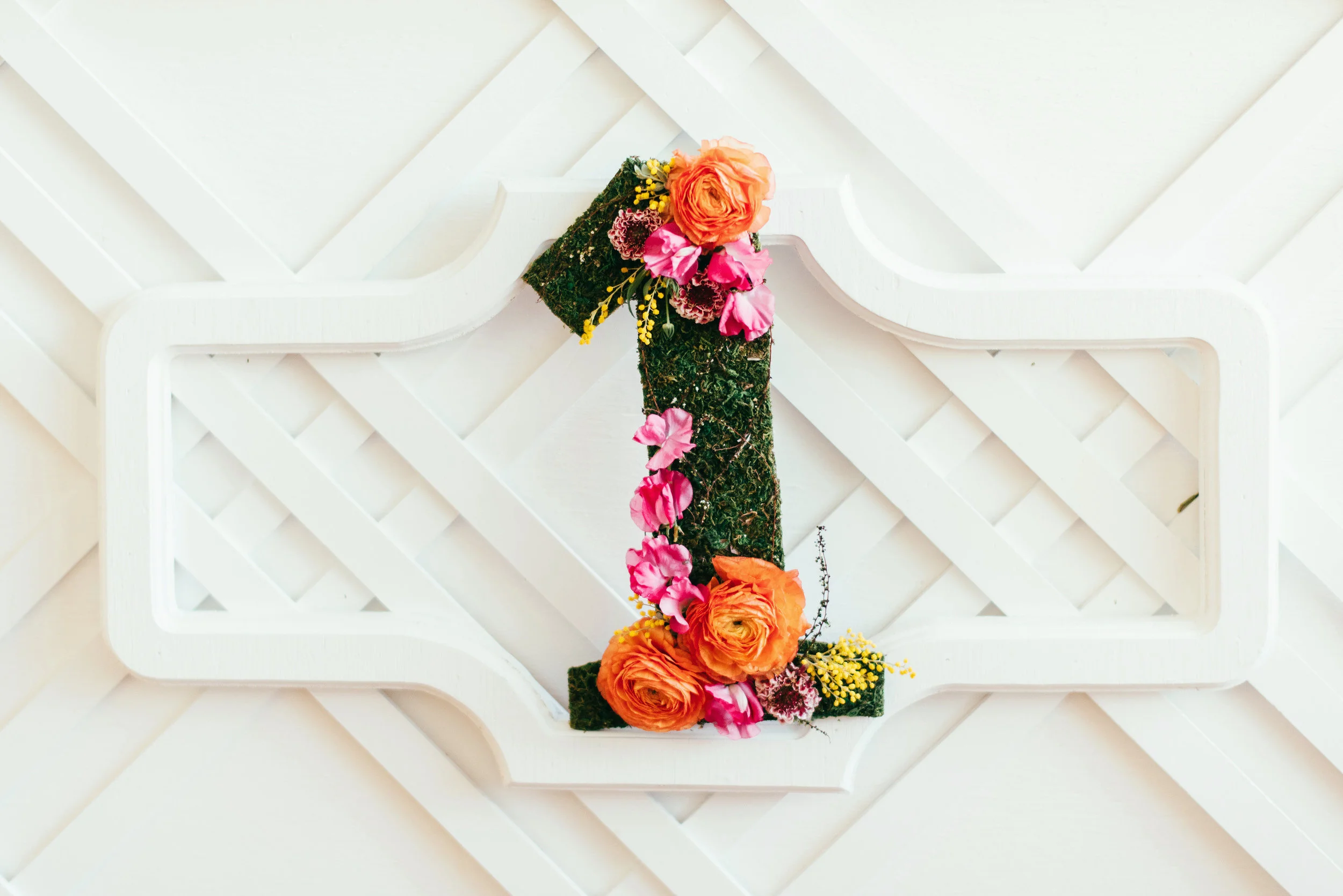 Charlottesfirstbirthday_AnnaReynalPhotography-56.jpg