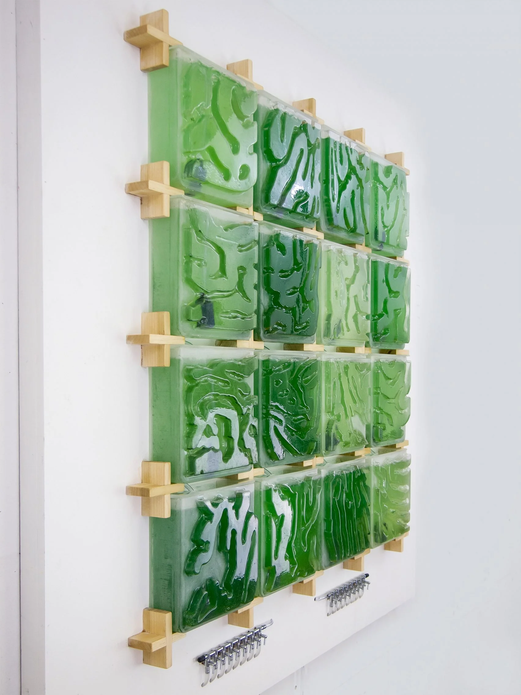 the-coral-algae-farm-design_dezeen_2364_col_12-1704x2272.jpg