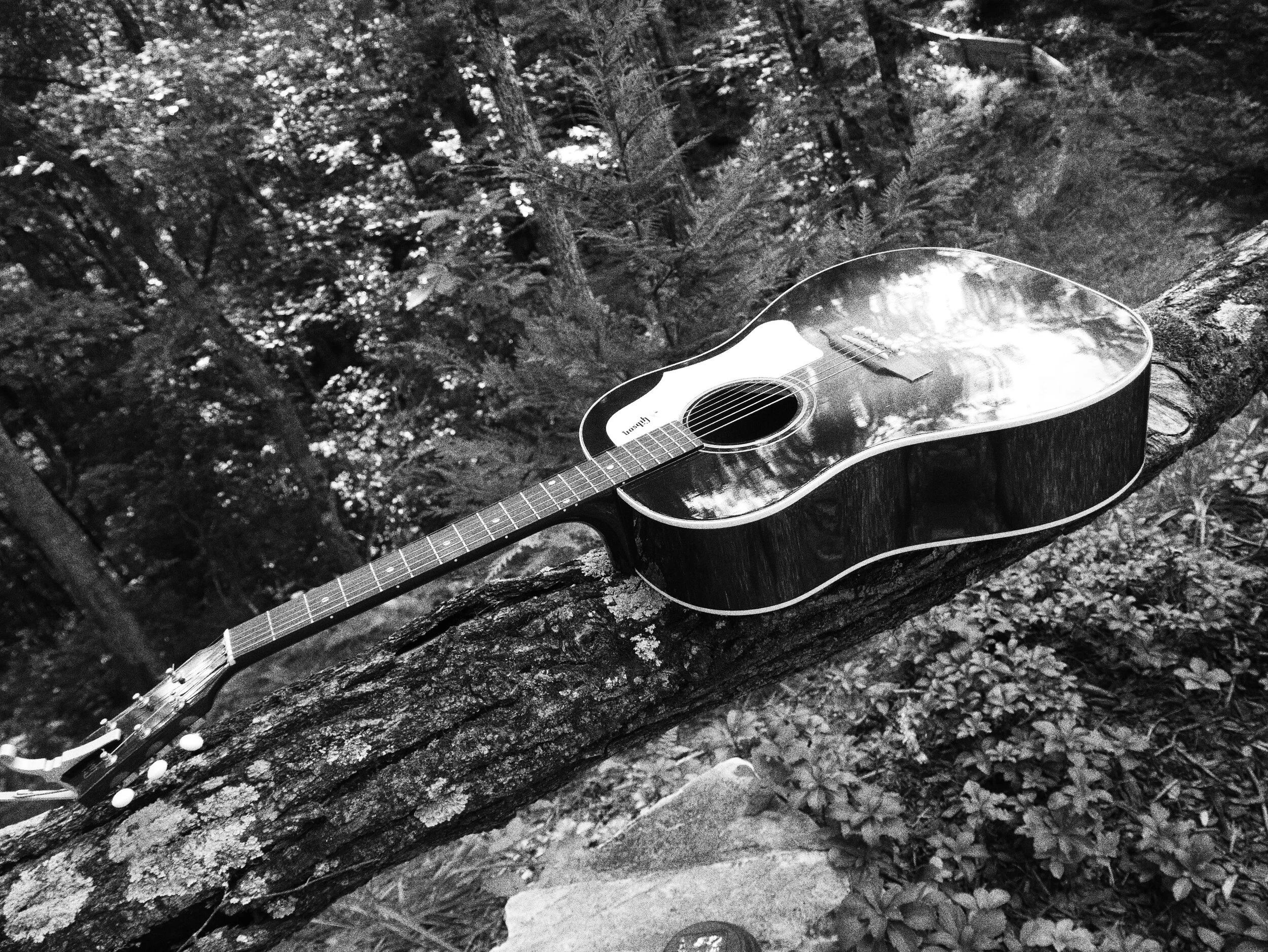 guitar- copy.JPG