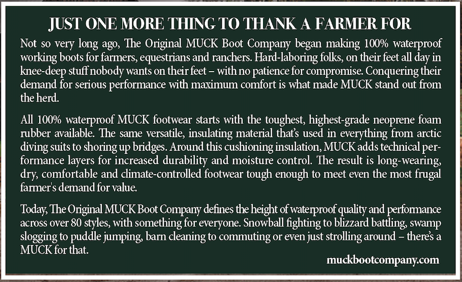 Screen Shot 2016-07-25 at 11.23.26 AM.png