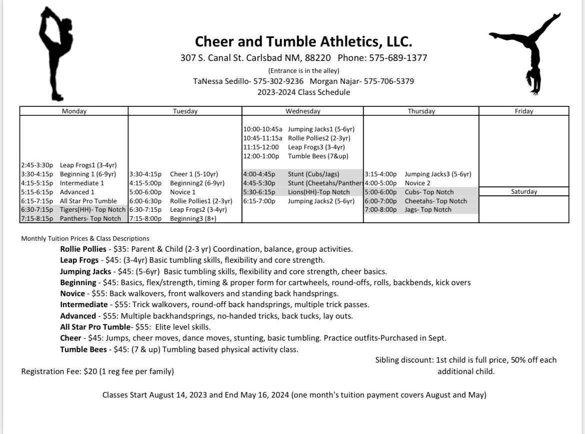 About our classes — Cheer And Tumble AthleticsCarlsbad, New Mexico's