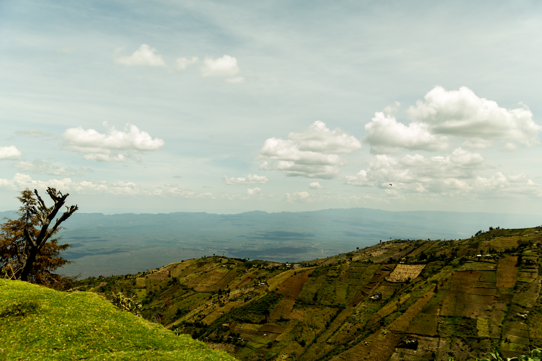 kenya-october-2016-121.jpg