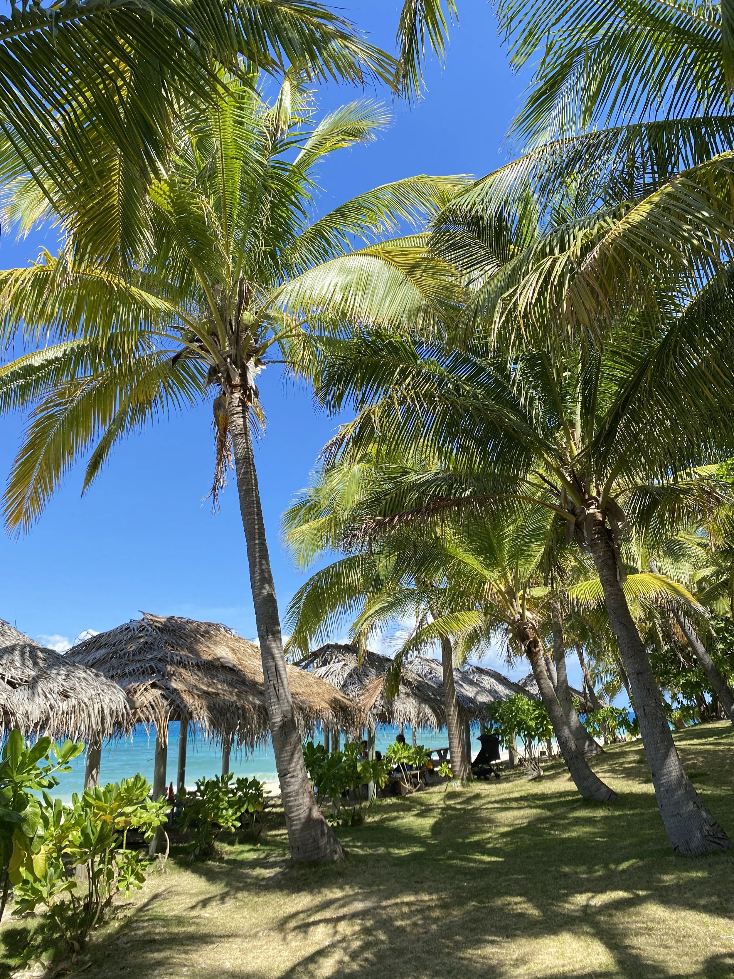 Tropical beach scene with palm trees and thatched-roof huts.
