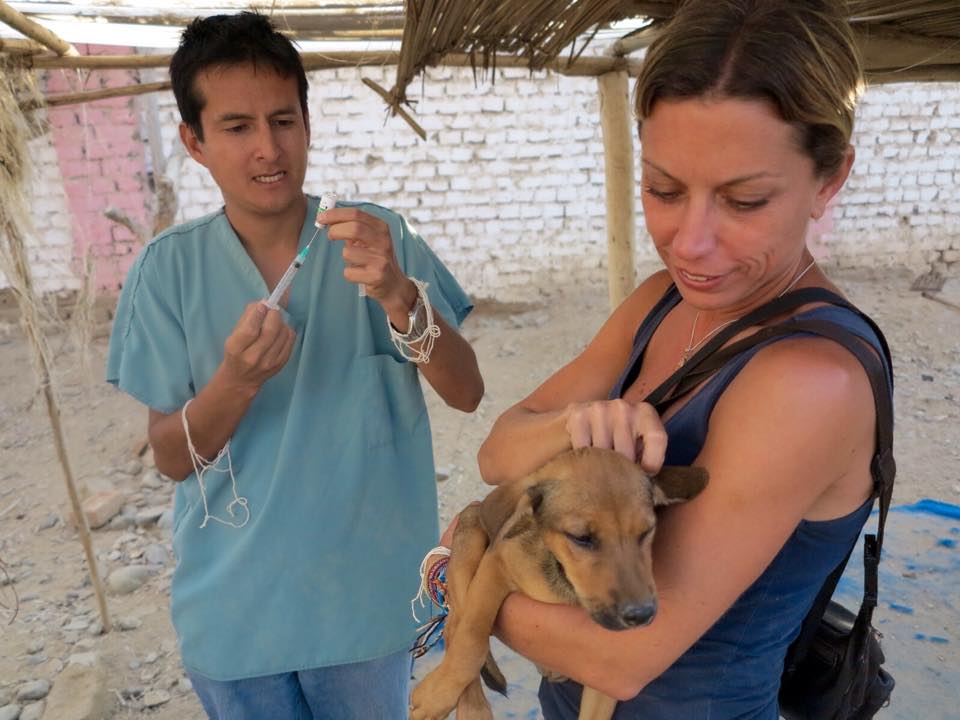 Assisting veterinarians at an animal shelter in Trujillo