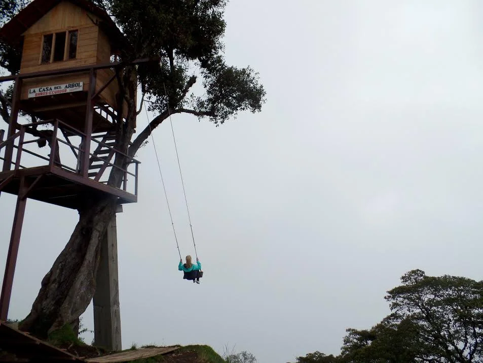 Tree swing