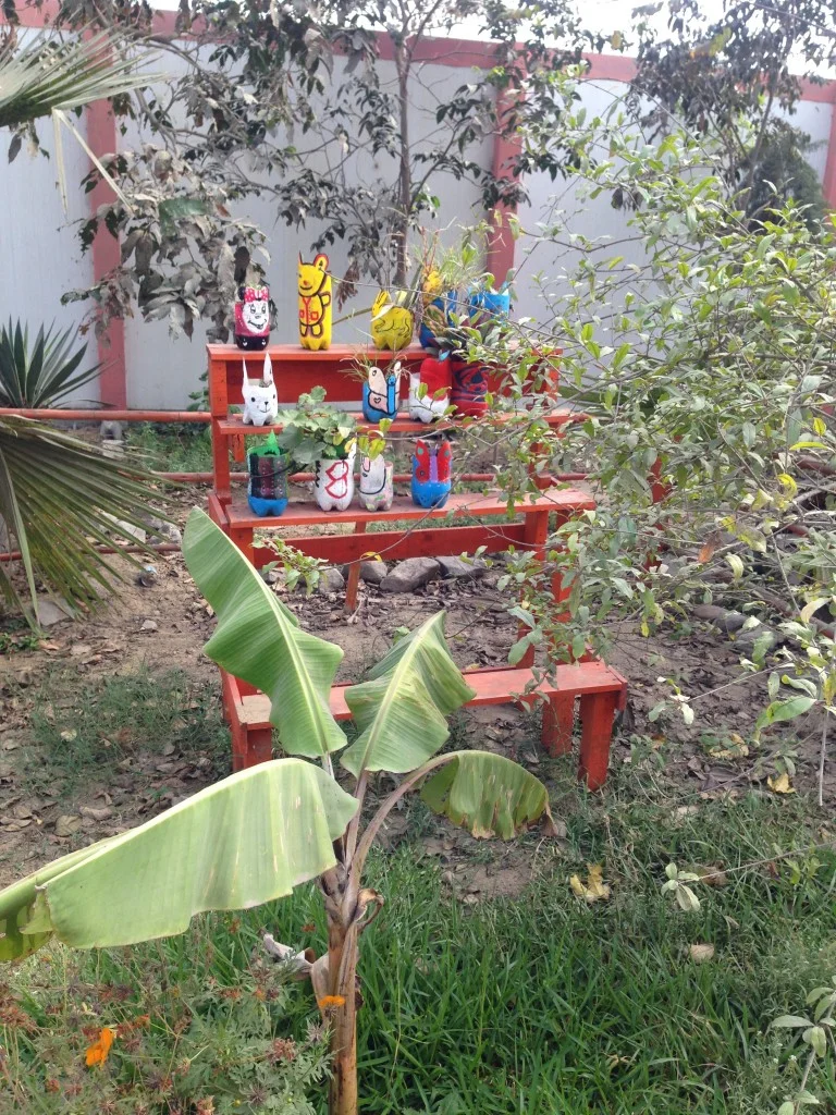 Earth Peru Environmental Education and Action Project