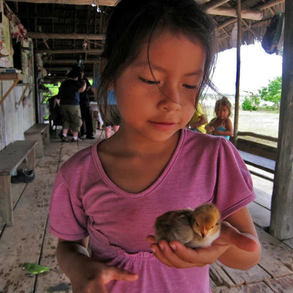 Pro-bono volunteering for professionals while working remotely