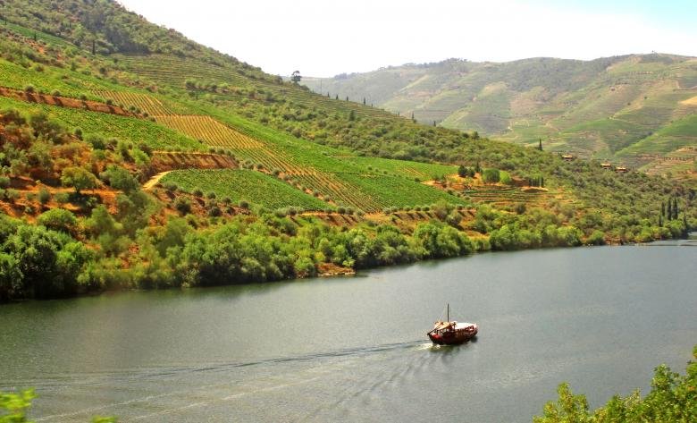 Douro Valley.jpg