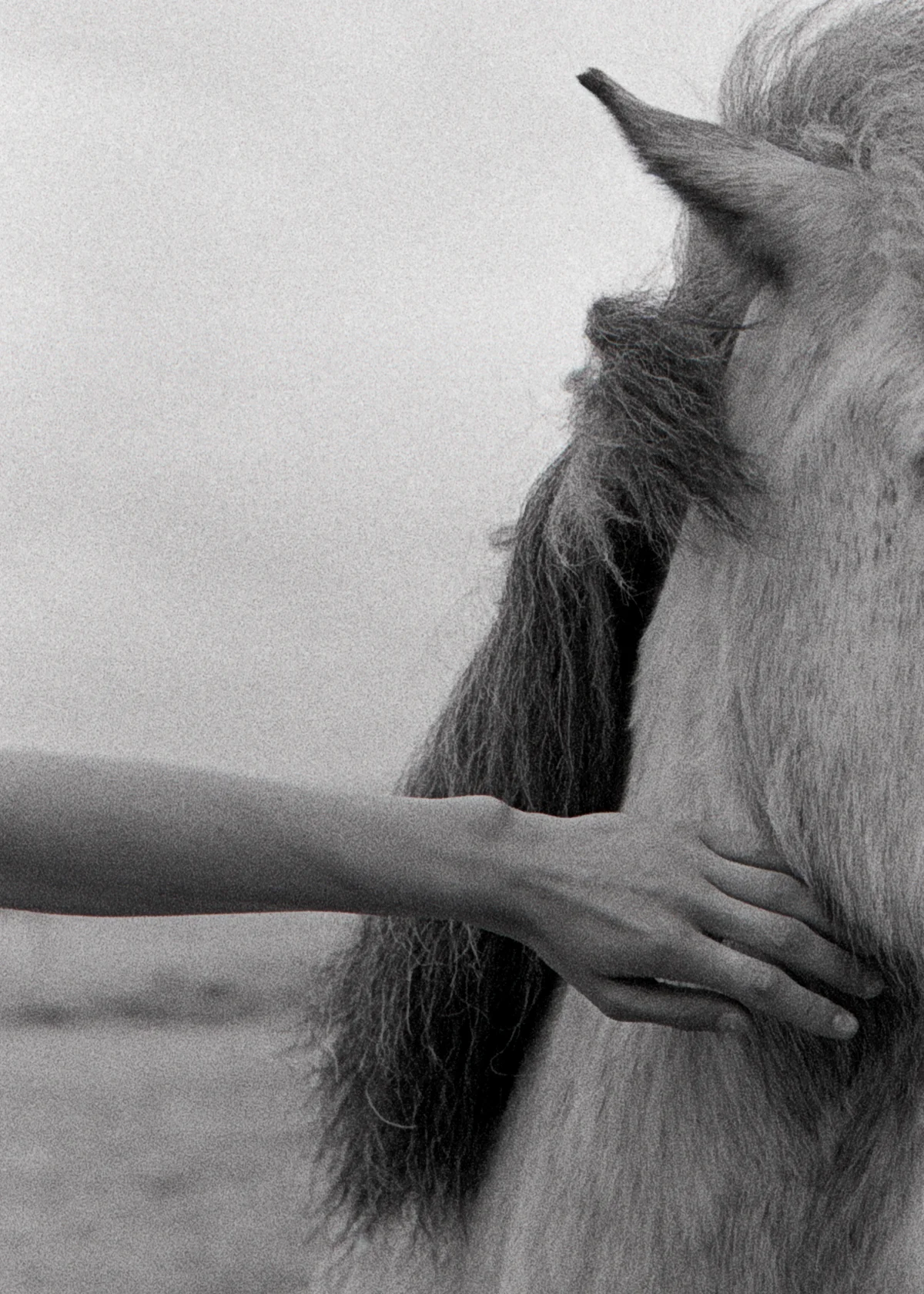 Island_Scan_01_20.jpg