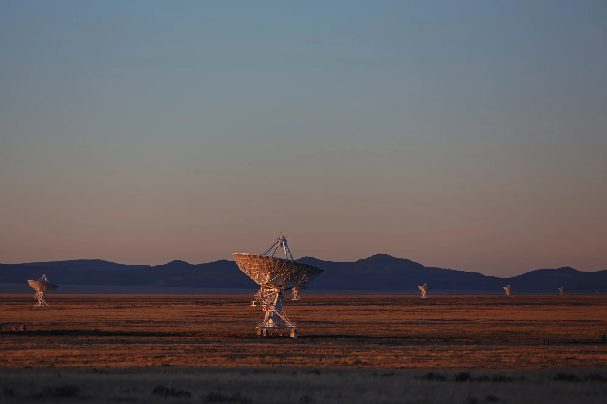 usa_3501-2.jpg