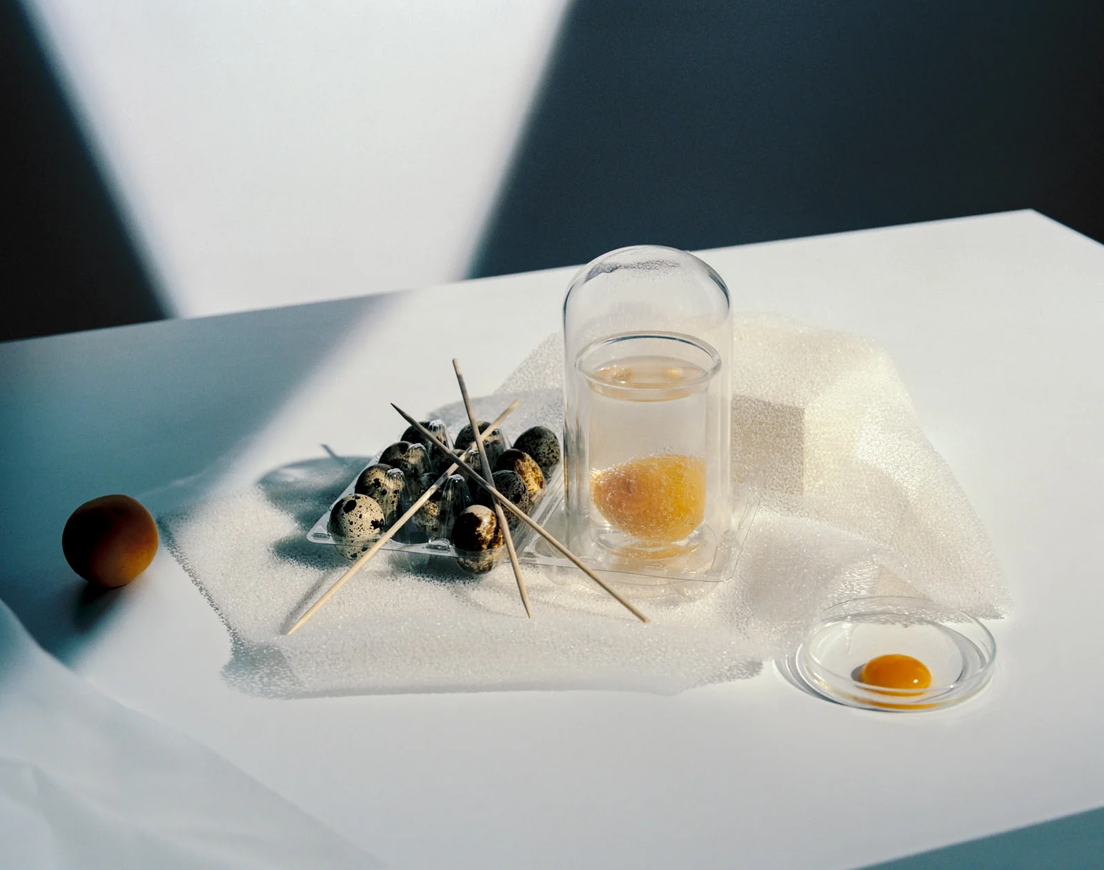MAMIYA_19-01-02_0006-2-Bearbeitet-2.jpg