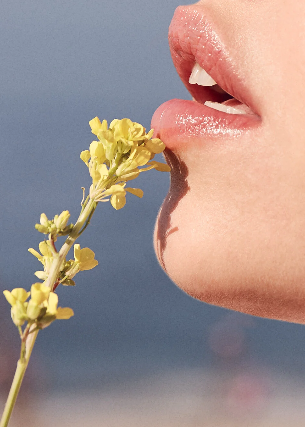 Beauté_Susanna_01_2062.jpg
