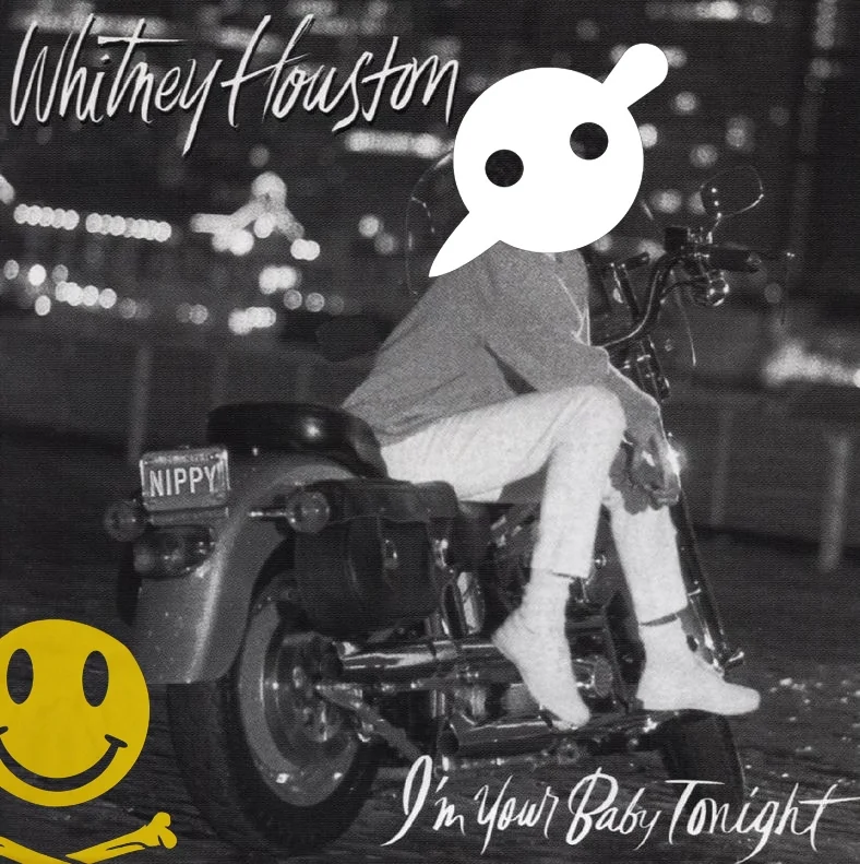 A dubstep mashup of Whitney Houston and a few other electro/dubstep tracks. Listen & download here: