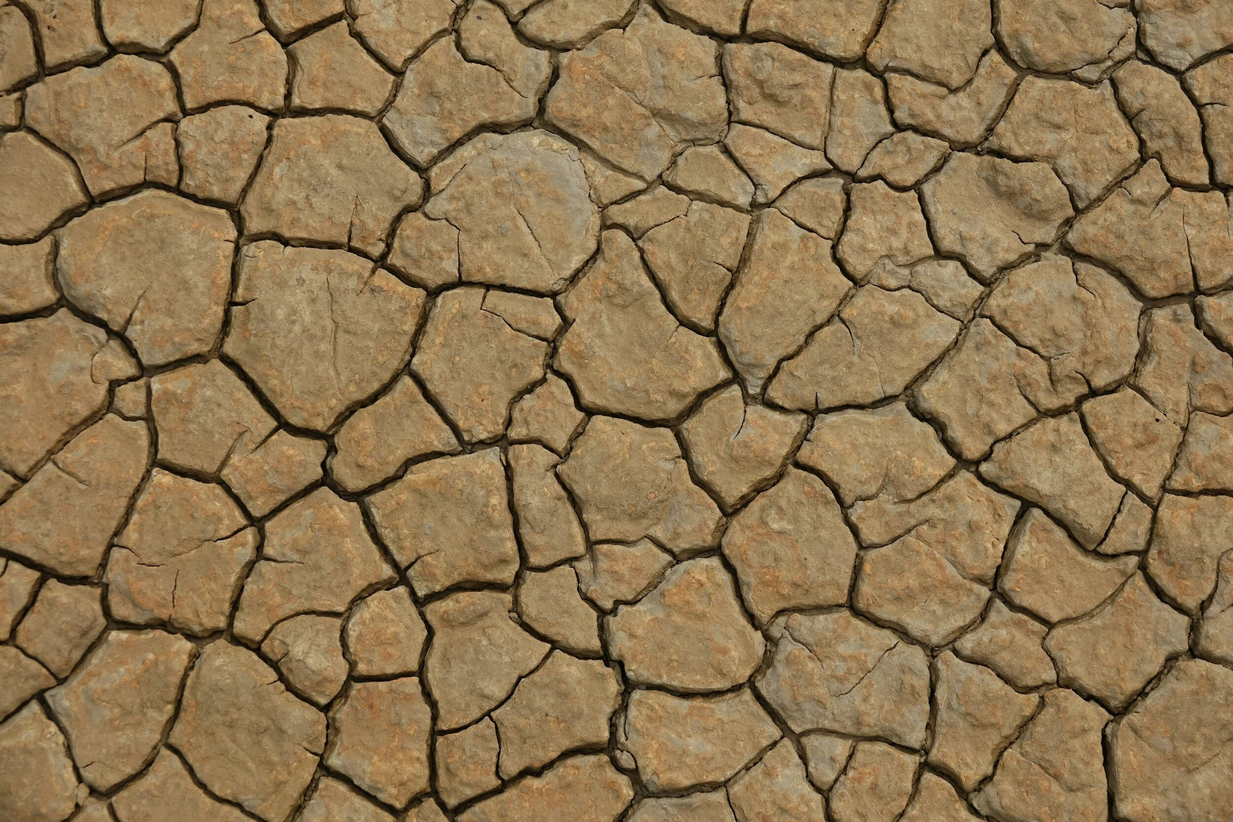 The Mental Health Toll of Climate Change: Women and Eco-Anxiety