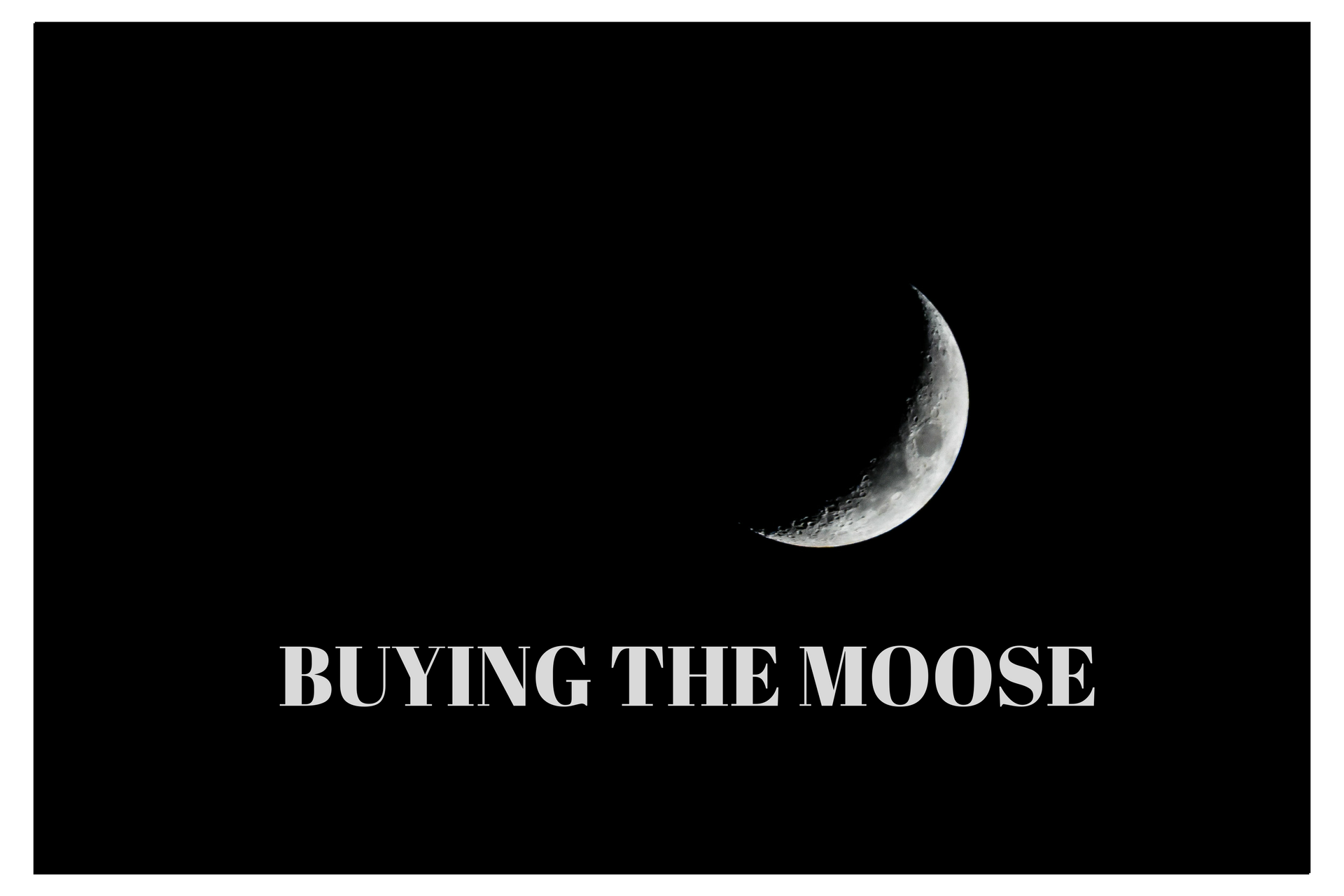 Good Nights with Good Night: Buying the Moose