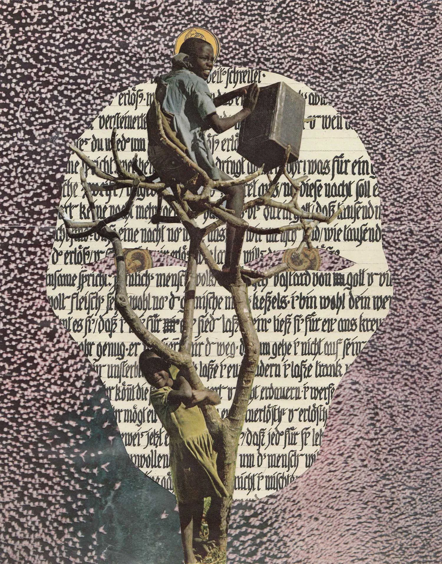 Tree of Life 