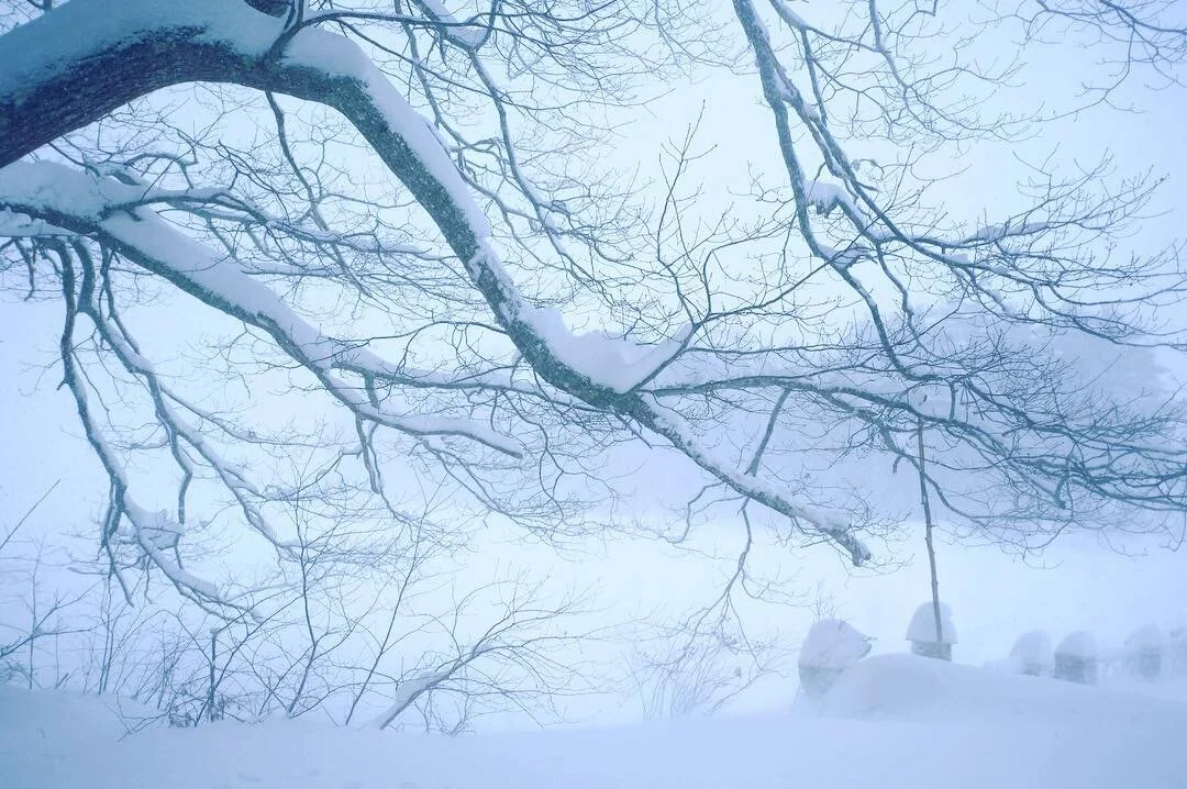 snow 2019.jpg