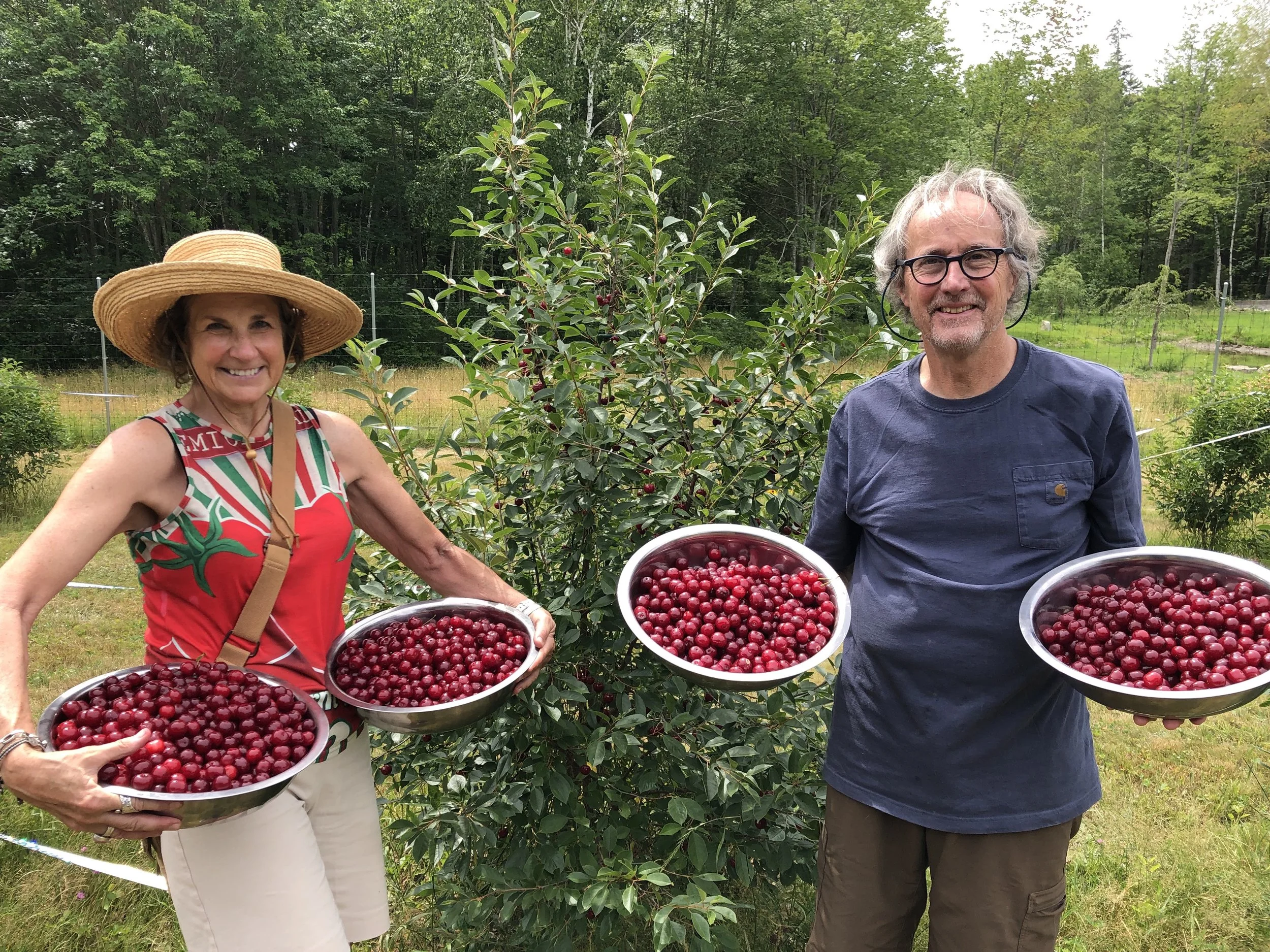 Annual Harvest + Long Lunch