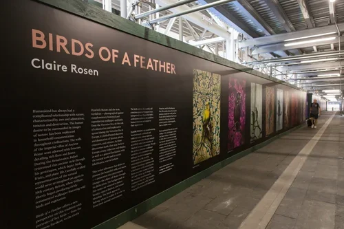 Photoville2022_Exhibitions_JLB_874.jpg.webp