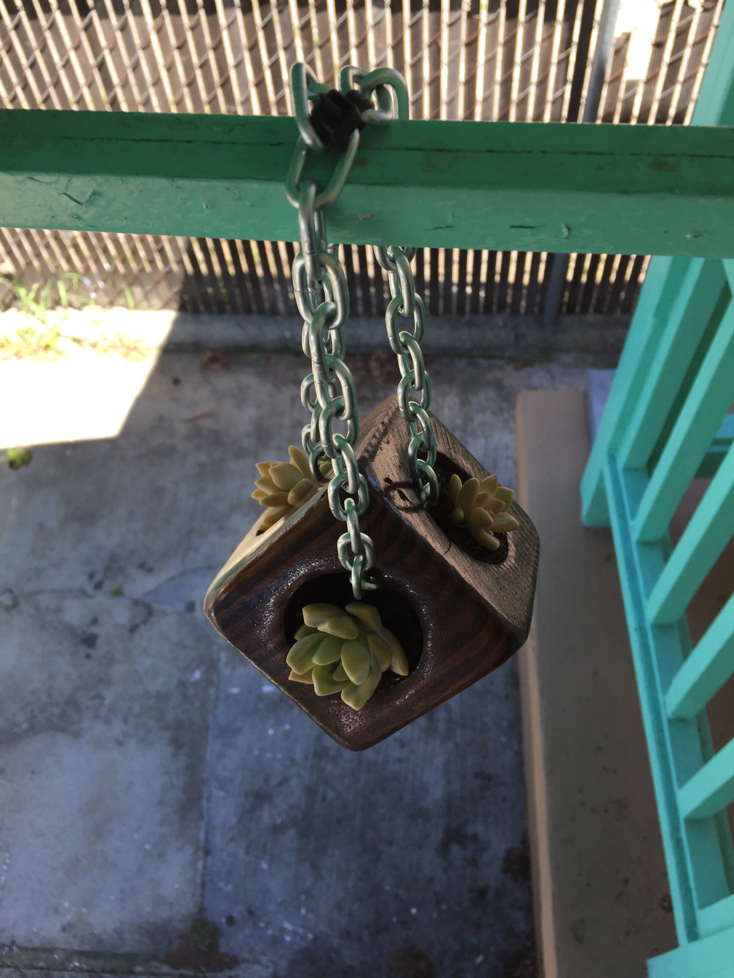 Succulent planter - Hang me.JPG