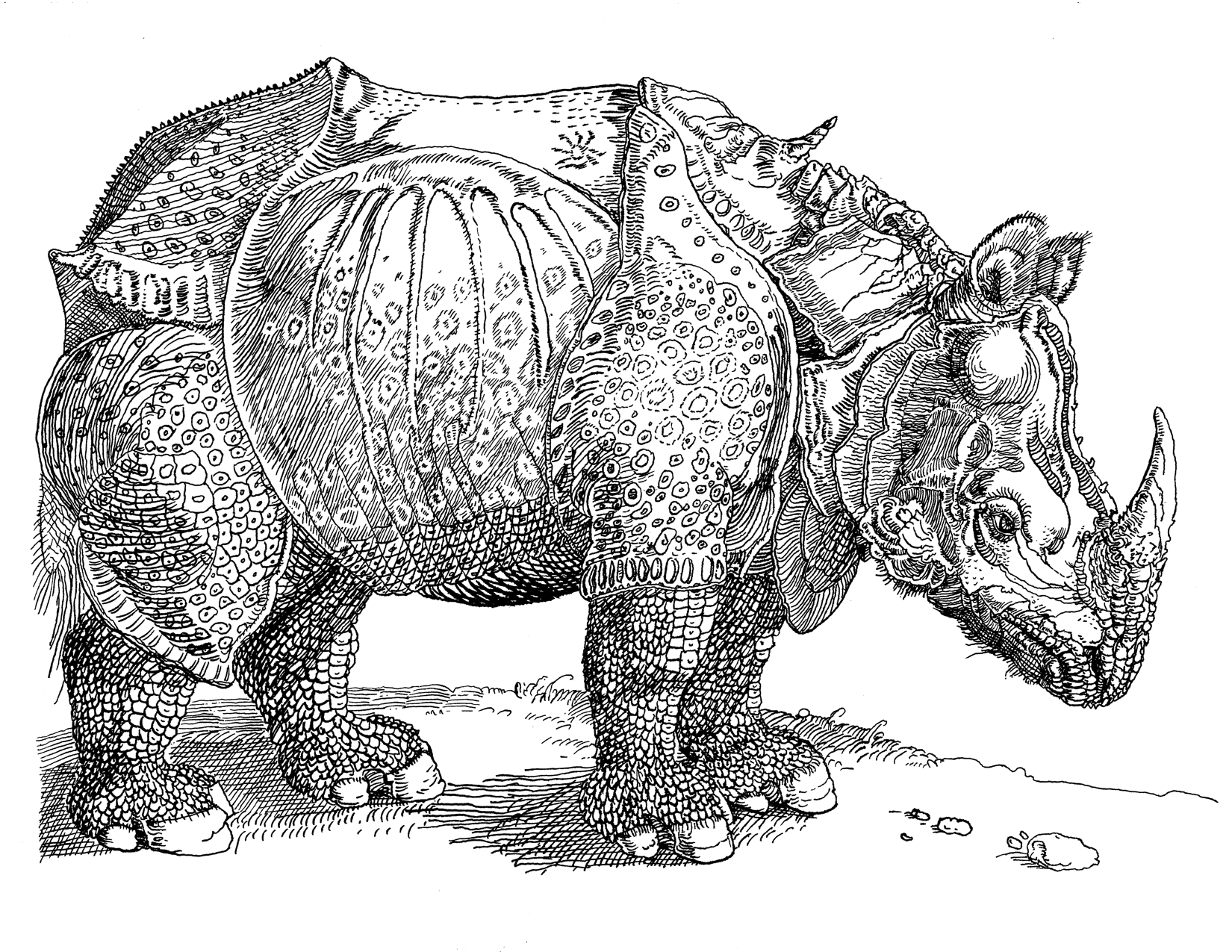 rhino600bw.png