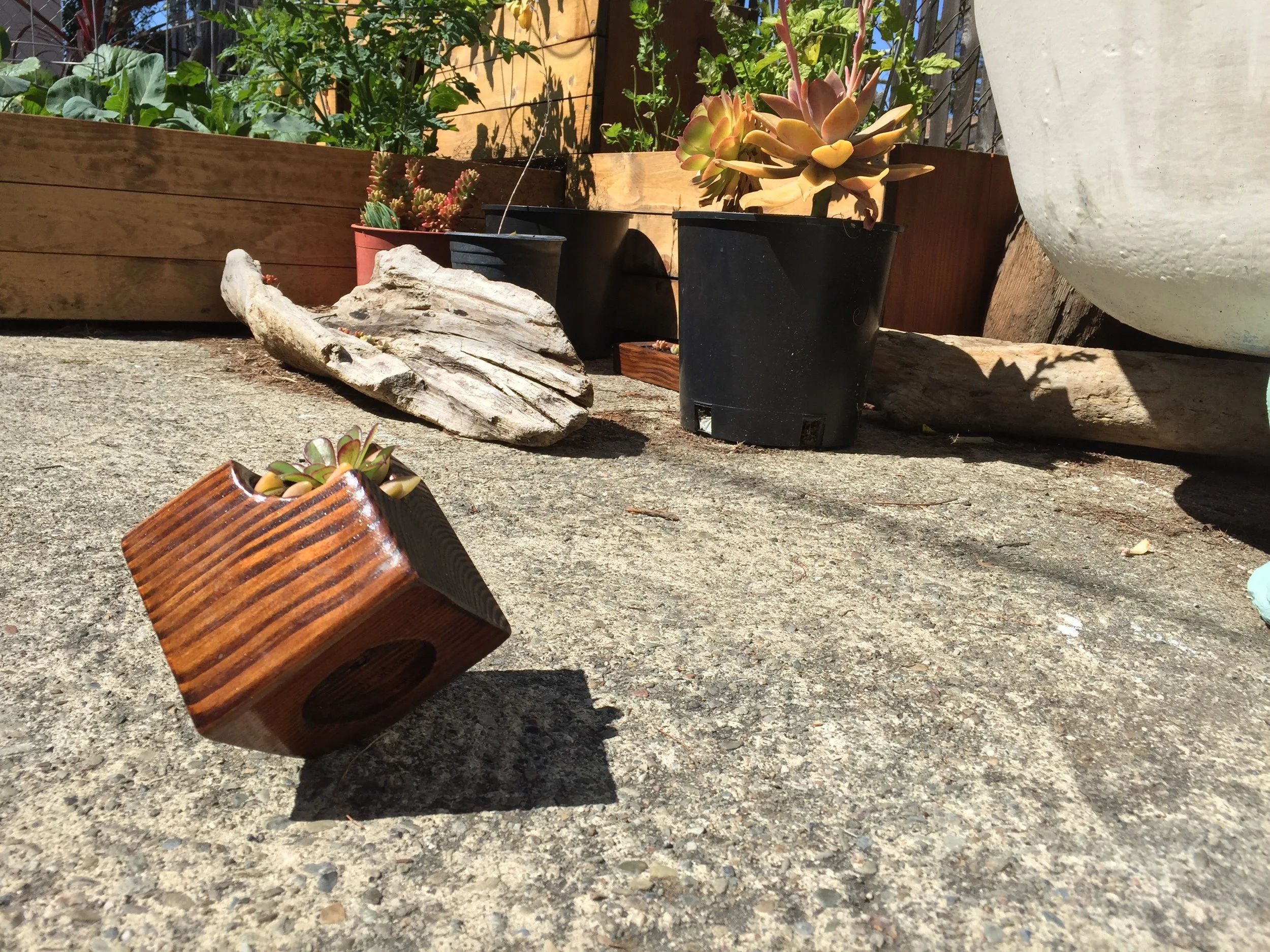Tiger cube off center side.JPG