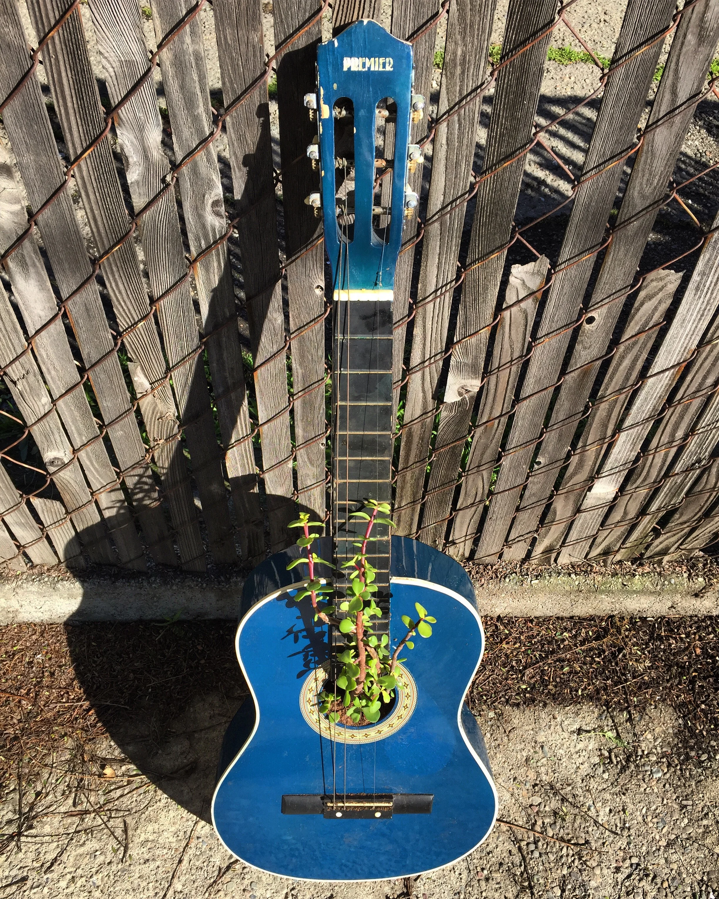 Guitar planter edit.JPG