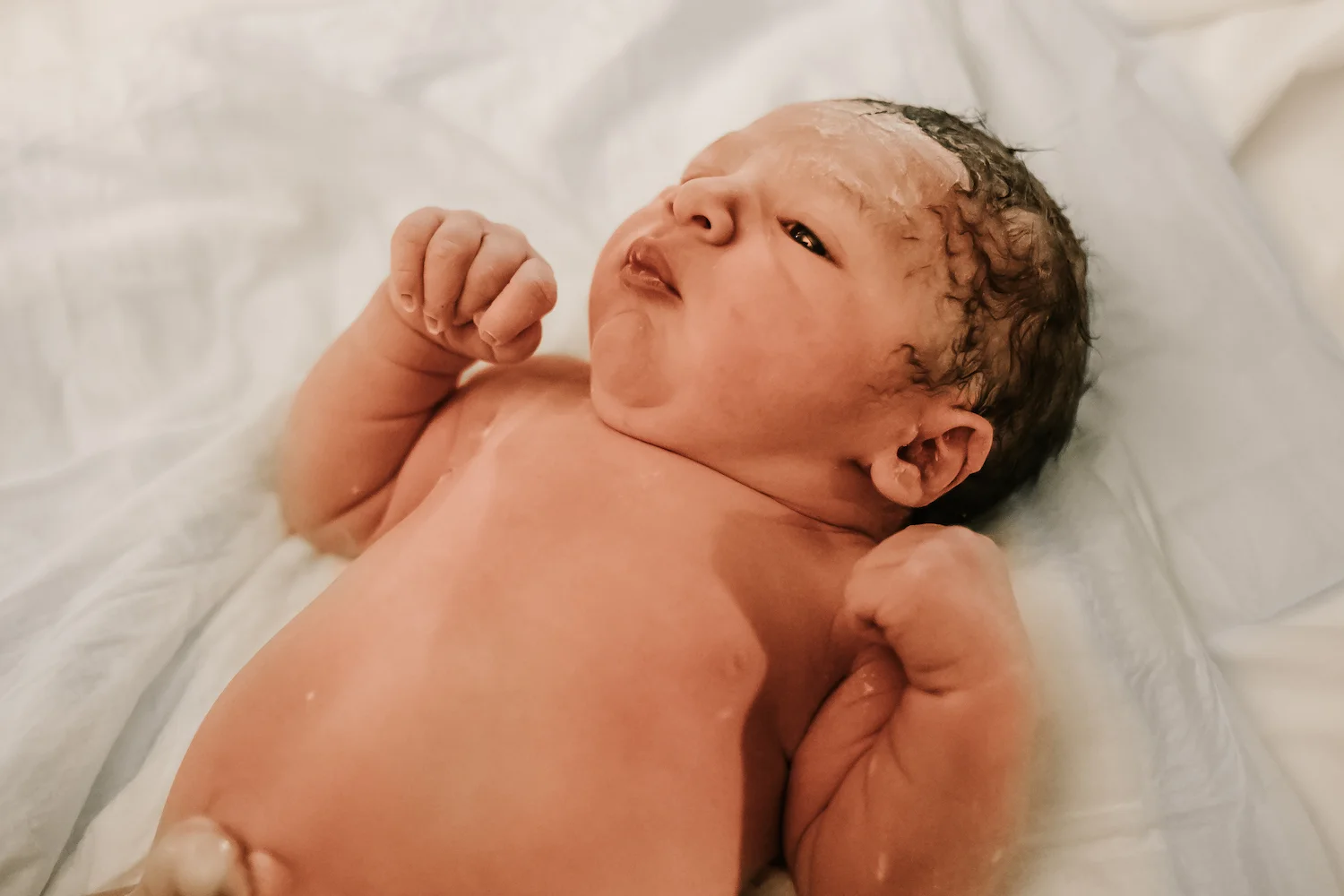 tampa-birth-photographer-natalie-landrum-129.jpg