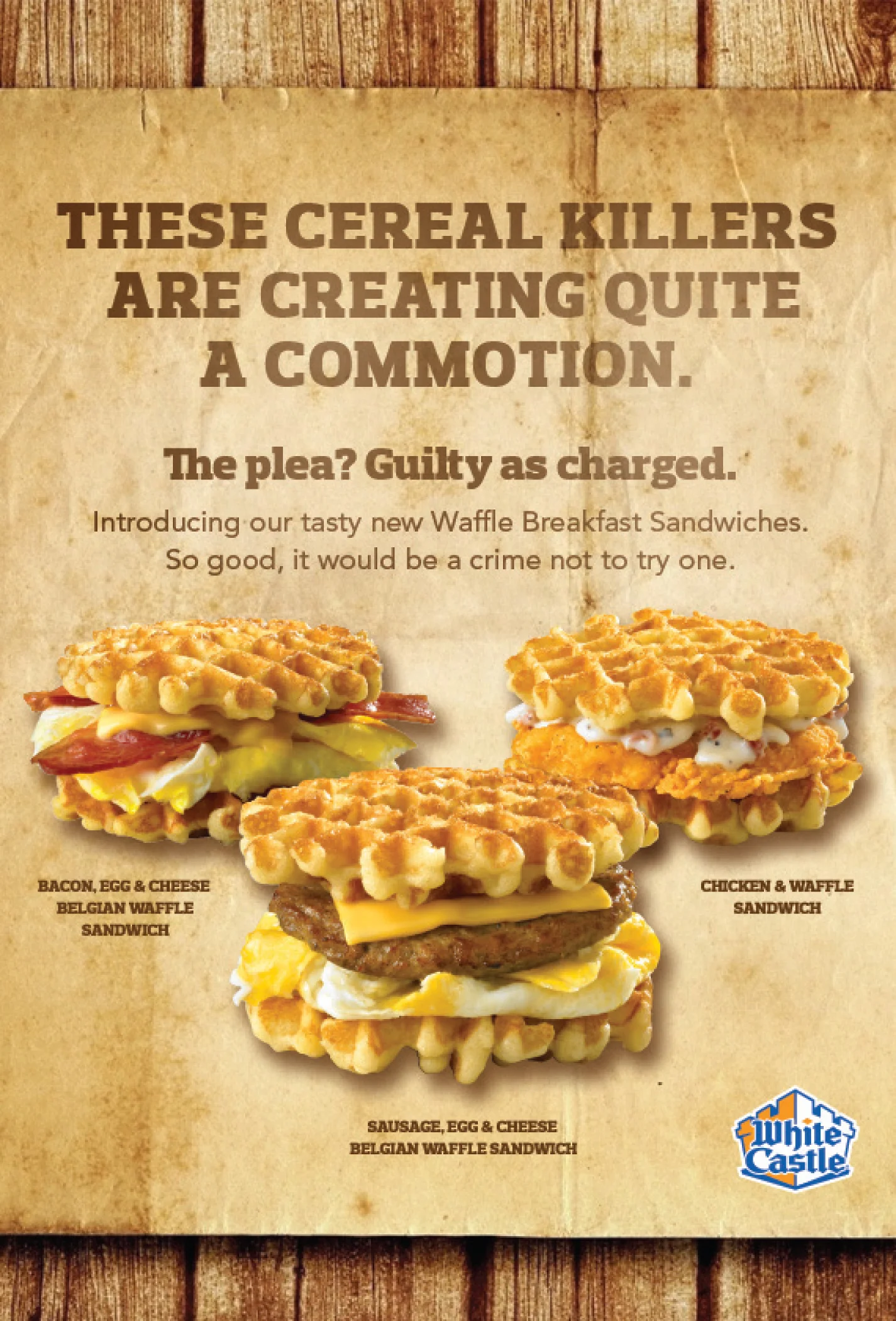 FINAL PLEXI INSERT-2.jpg