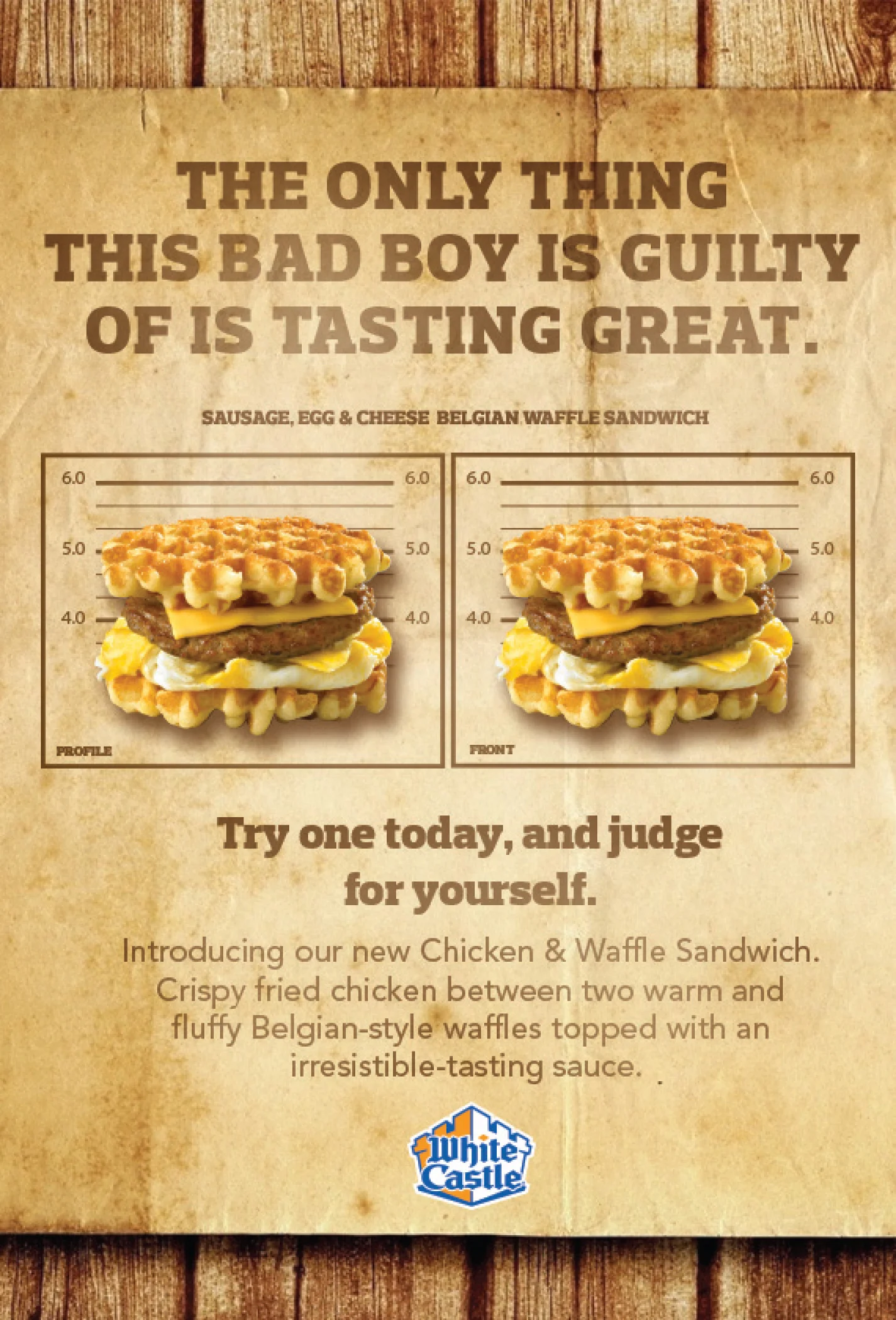 FINAL PLEXI INSERT-1.jpg