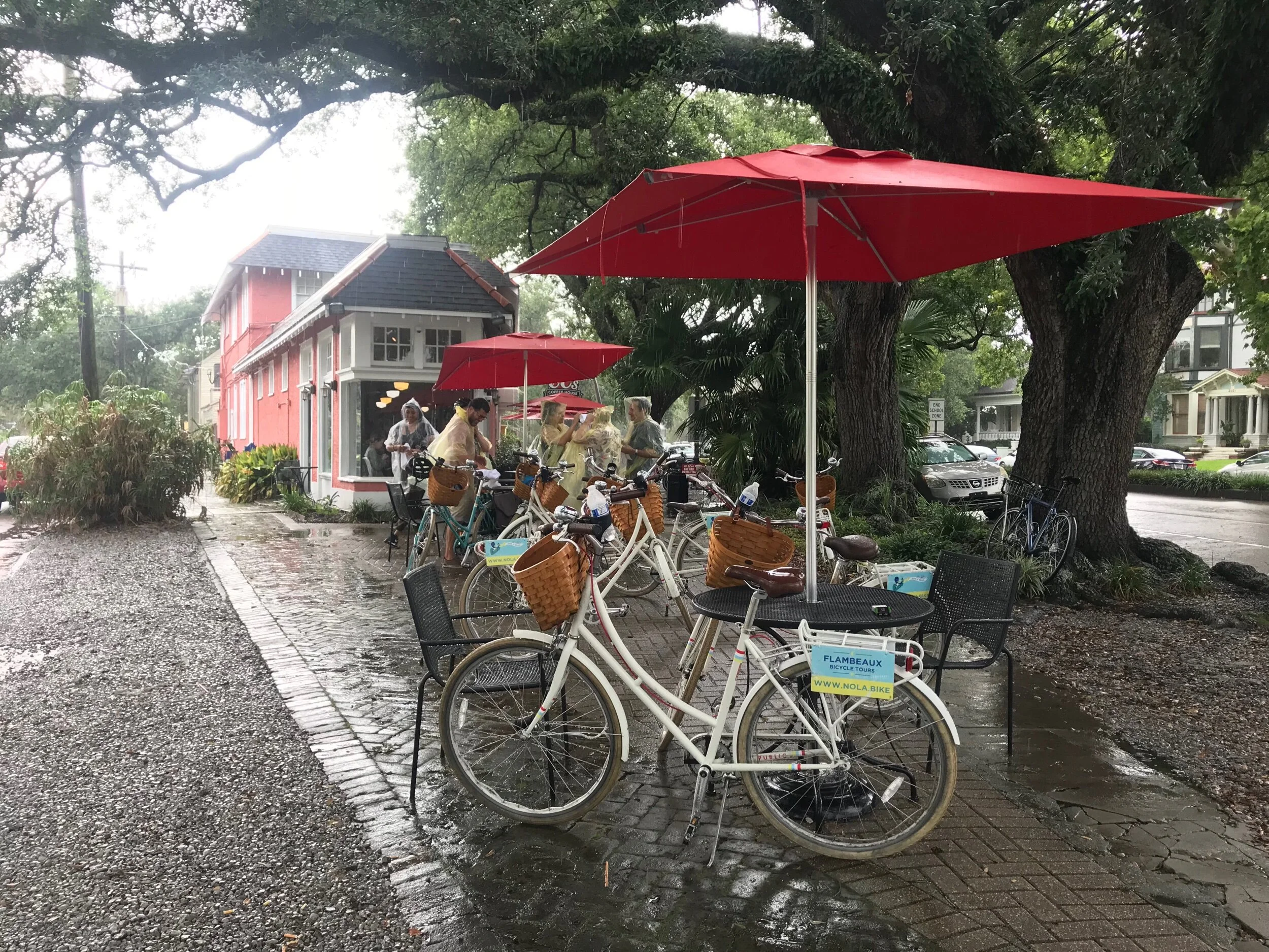 Rain or shine